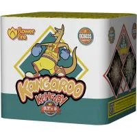 Батарея салютов Кенгуру ОС6035 купить от производителя Огненный Цветок — Темрюк