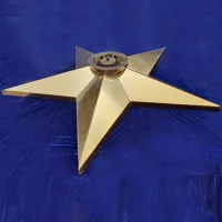Звезда вечный огонь (1628) поставка комплект горелка ГВД 379 10 89 00 ПС ø 1100 мм. пустотелая  в Темрюке